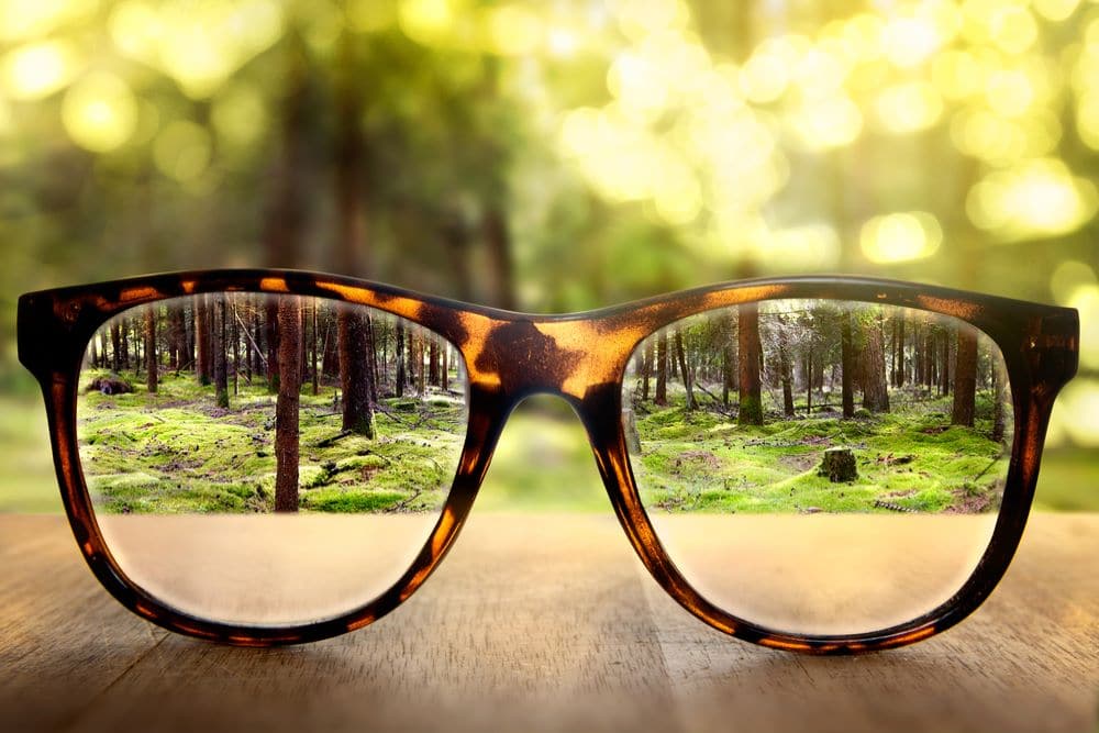 twoj optyk warszawa okulary przez ktore widac wyrazny las
